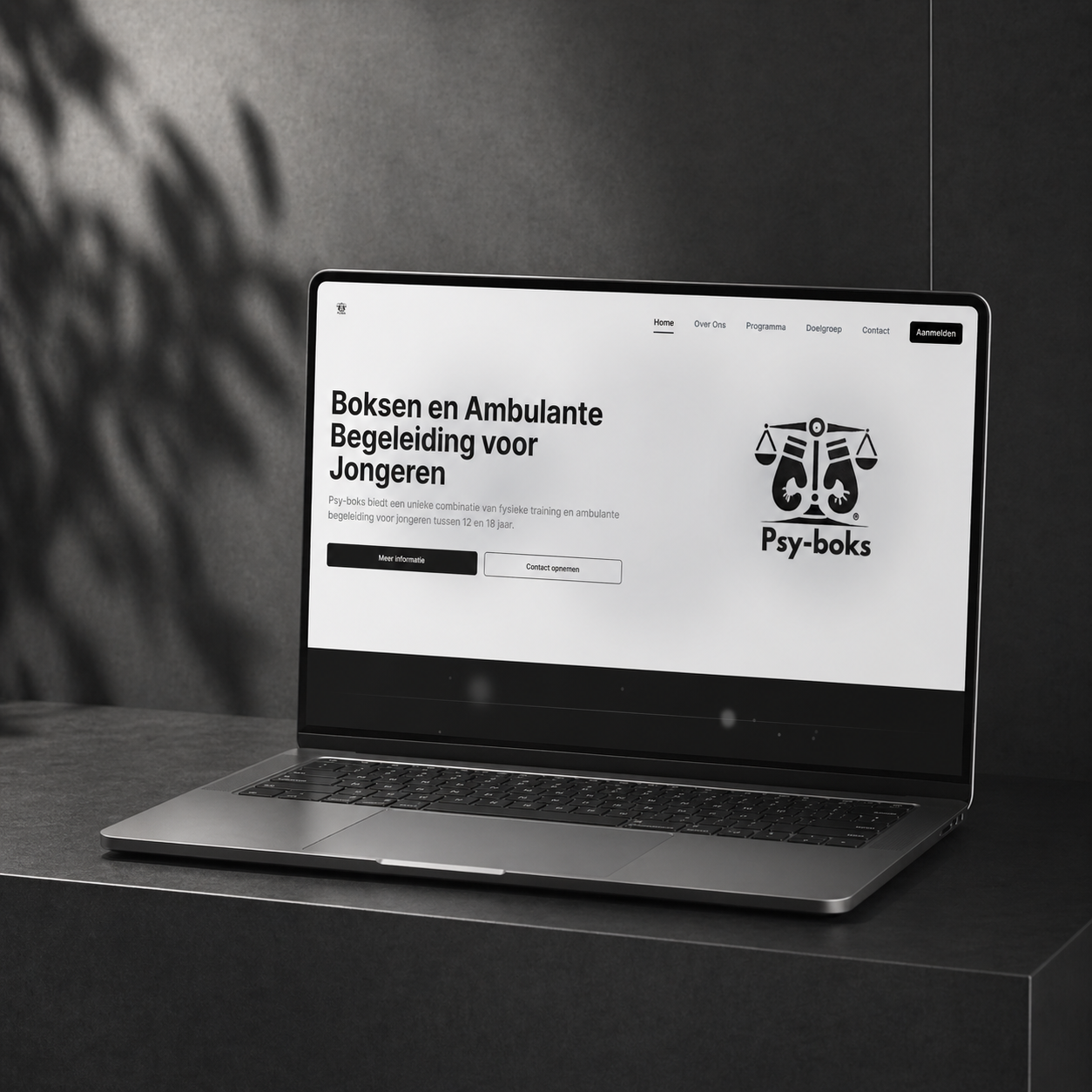 BoksBalance website door Webkern